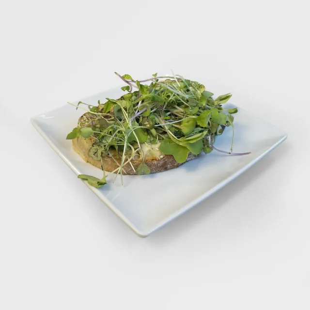 Hummus toast